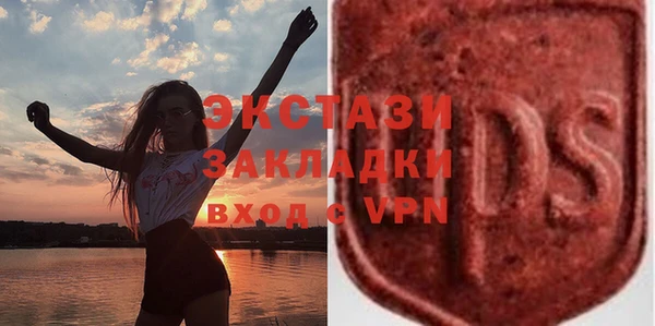 индика Елабуга