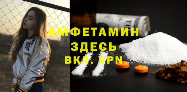 индика Елабуга