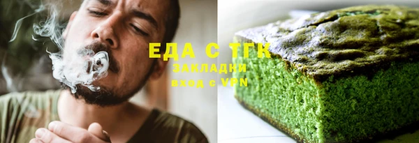 индика Елабуга