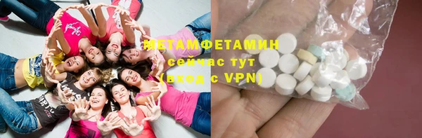 индика Елабуга