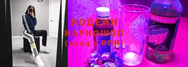 индика Елабуга