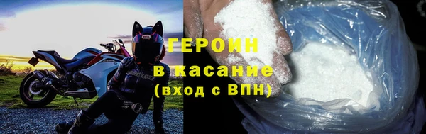 индика Елабуга