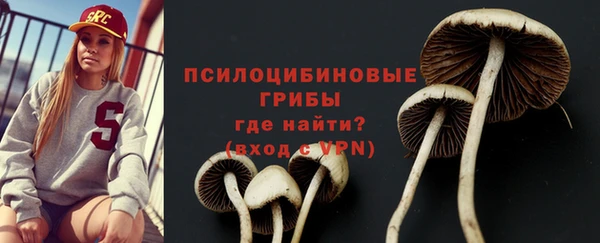 не бодяженный Ельня