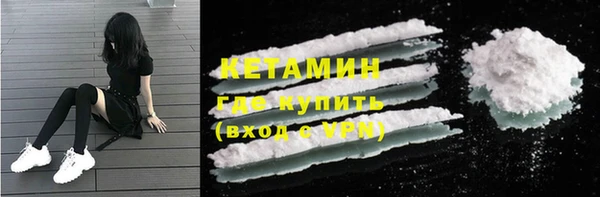 индика Елабуга