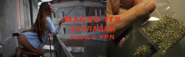 индика Елабуга