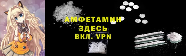индика Елабуга