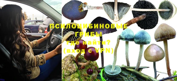 индика Елабуга