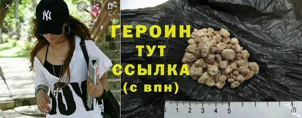 индика Елабуга