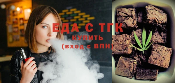 индика Елабуга