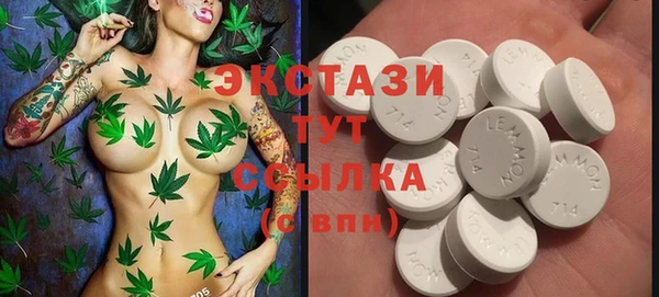 индика Елабуга