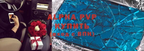 индика Елабуга