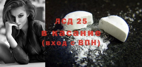 индика Елабуга
