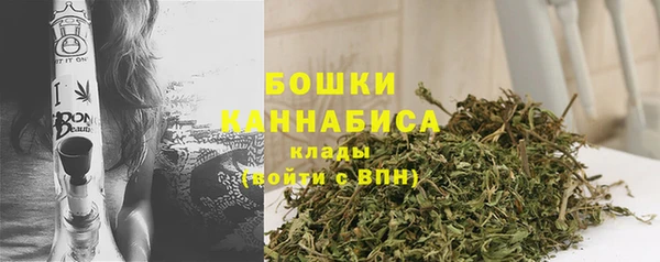 индика Елабуга