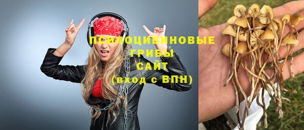 не бодяженный Ельня