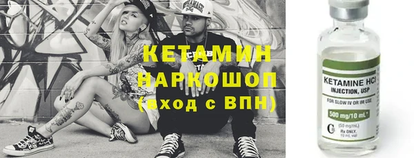 индика Елабуга