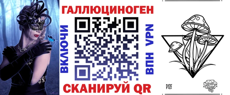Купить  Кропоткин  Псилоцибиновые грибы Psilocybe 